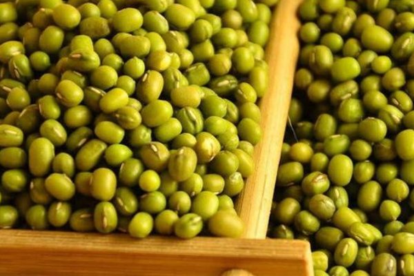 绿豆多少钱一斤？