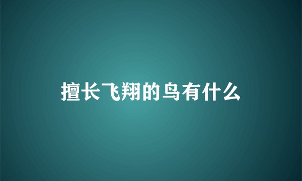 擅长飞翔的鸟有什么