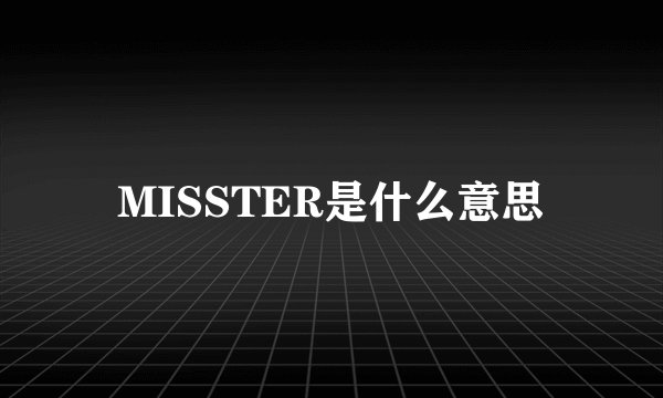 MISSTER是什么意思
