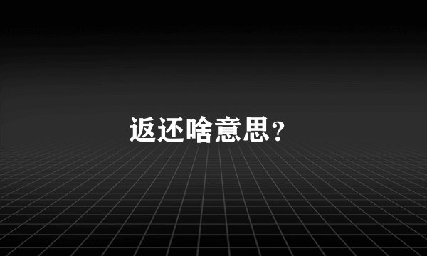返还啥意思？