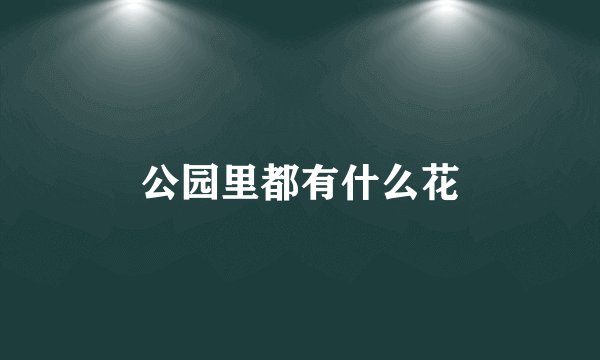公园里都有什么花