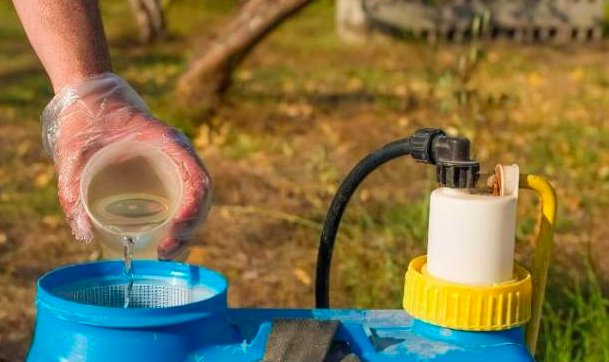 百草枯是什么？