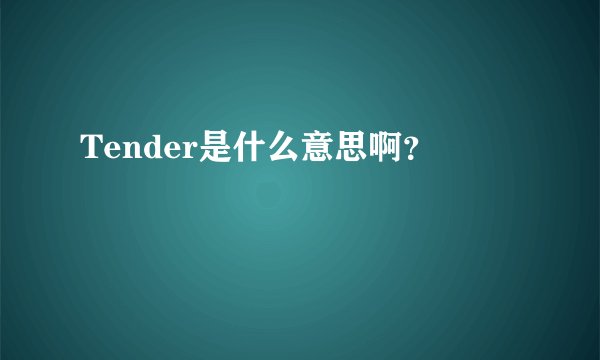 Tender是什么意思啊？