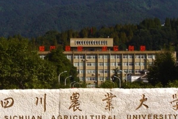 考研最容易调剂的211大学