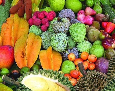 海南的水果有哪些？