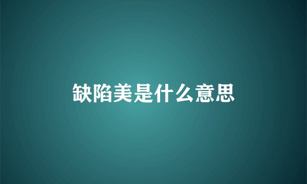 缺陷美是什么意思