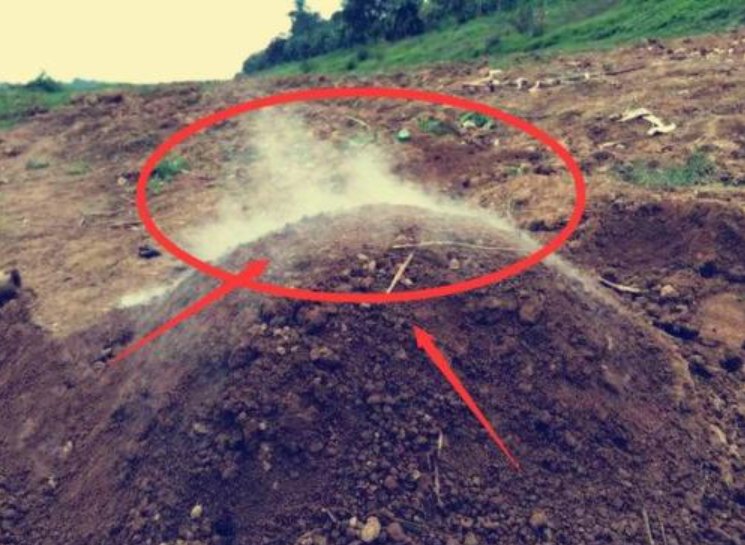 青烟是指什么？