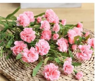 五月是什么花开呢?