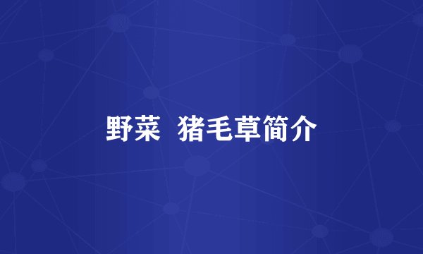 野菜  猪毛草简介