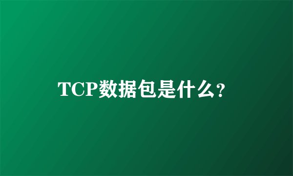 TCP数据包是什么？
