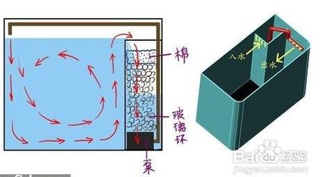 如何挑选金鱼缸？