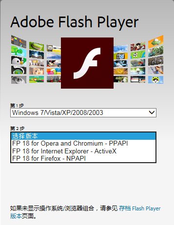有没有 adobe flash player for chrome