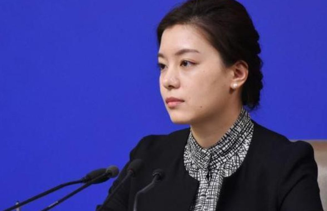 外交部翻译官张京的资料有哪些？