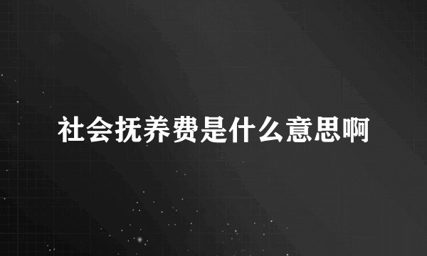 社会抚养费是什么意思啊