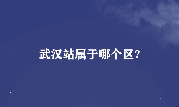 武汉站属于哪个区?
