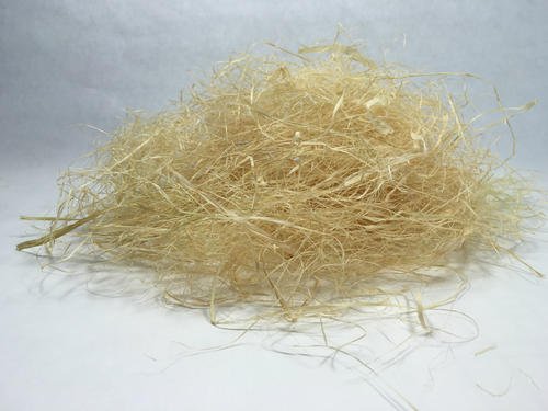 『六周年拉菲草』是什么梗？