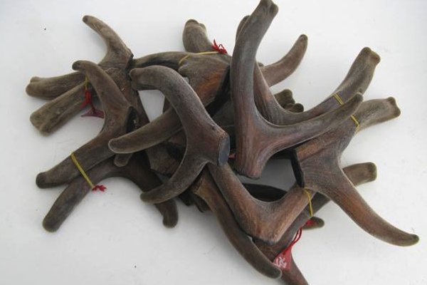 鹿茸有什么作用