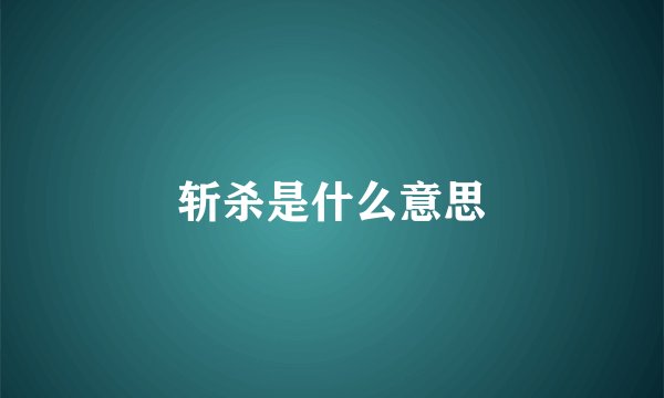 斩杀是什么意思