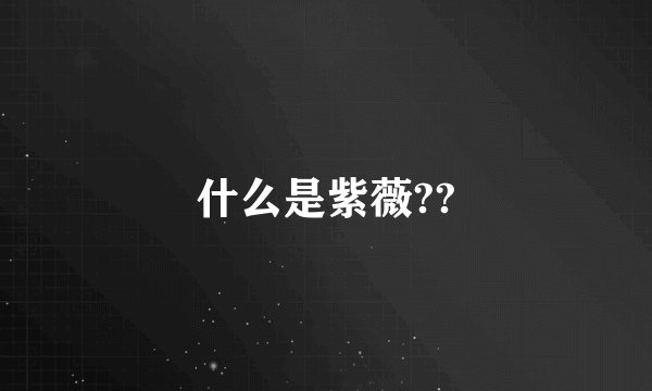 什么是紫薇??
