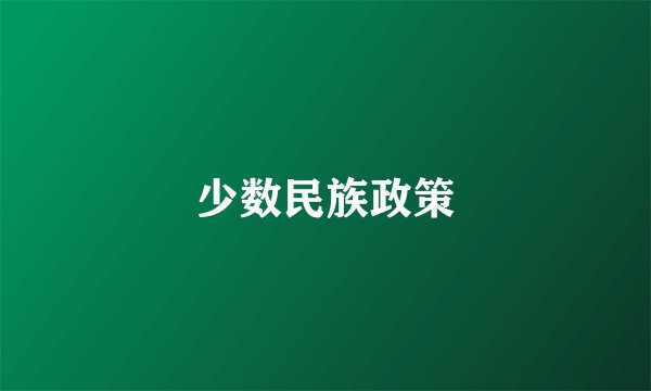 少数民族政策