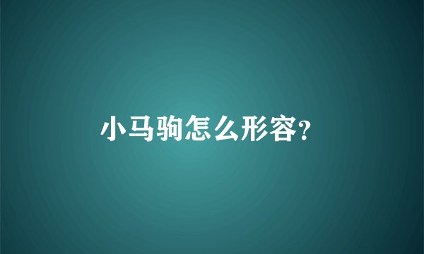小马驹怎么形容？