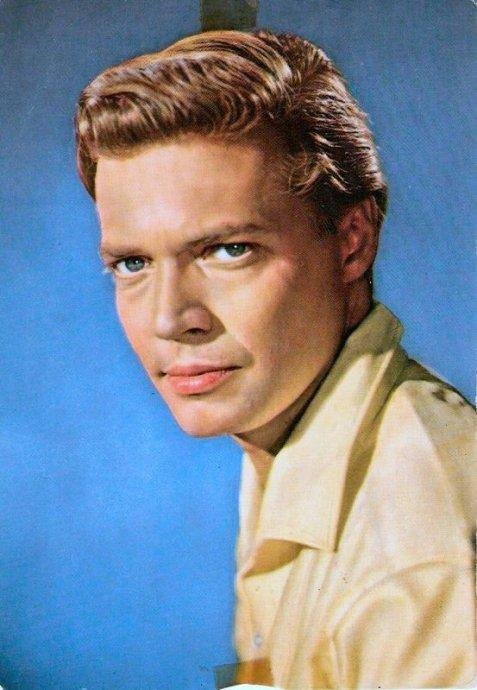 卡尔海因茨-伯姆的介绍