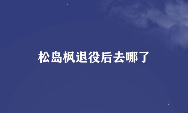 松岛枫退役后去哪了