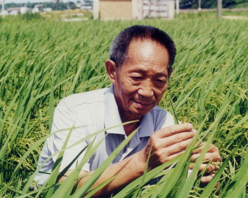 共和国一天痛失两位院士，是哪两位院士？