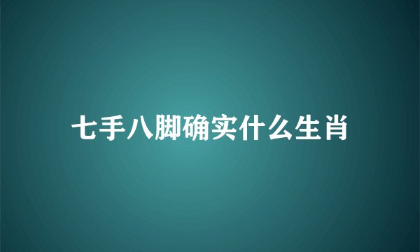 七手八脚确实什么生肖