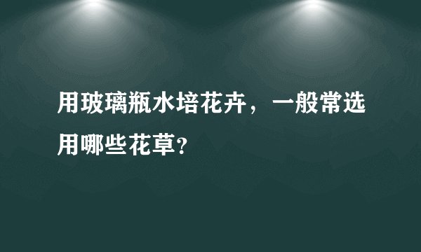 用玻璃瓶水培花卉，一般常选用哪些花草？