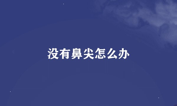 没有鼻尖怎么办