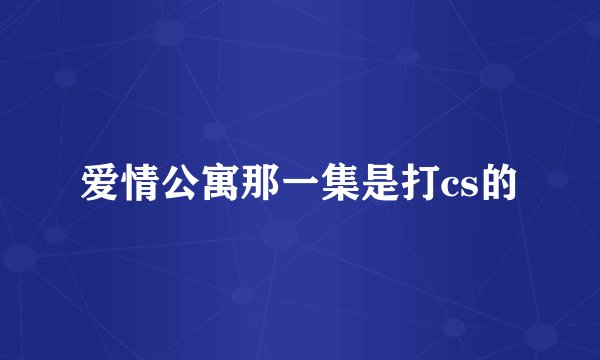 爱情公寓那一集是打cs的