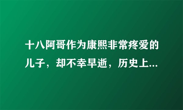 十八阿哥作为康熙非常疼爱的儿子，却不幸早逝，历史上他的死因是什么？