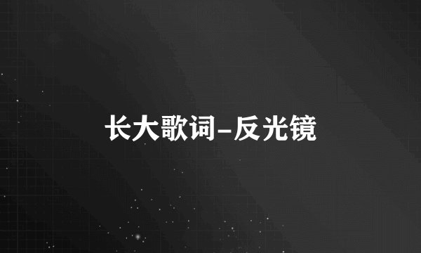 长大歌词-反光镜