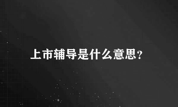 上市辅导是什么意思？