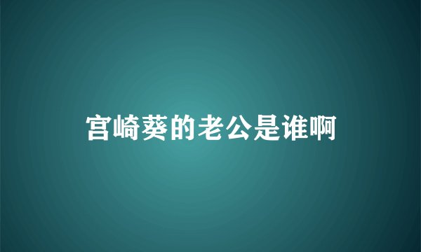 宫崎葵的老公是谁啊
