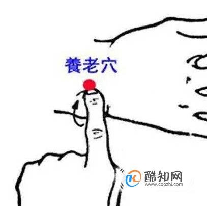 养老穴穴位位置图及作用