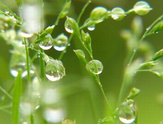 春雨像什么一样轻轻的落在地上怎么填空？