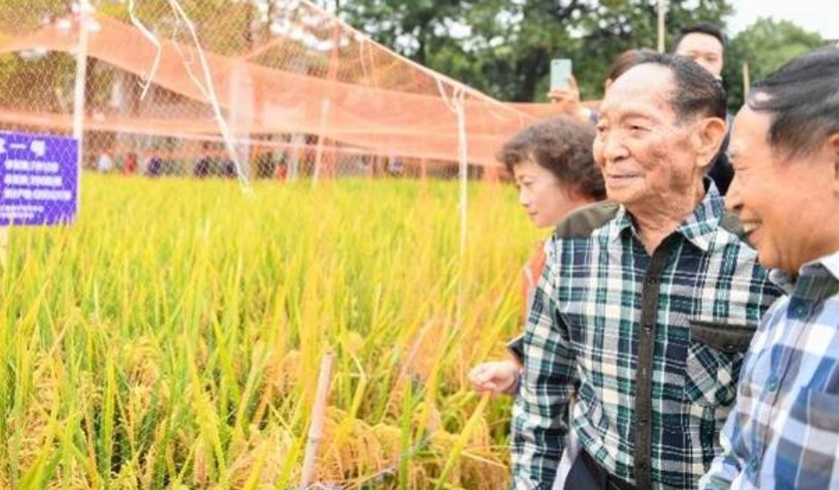 袁隆平曾用8个字勉励年轻人，你知道是哪8个字吗？