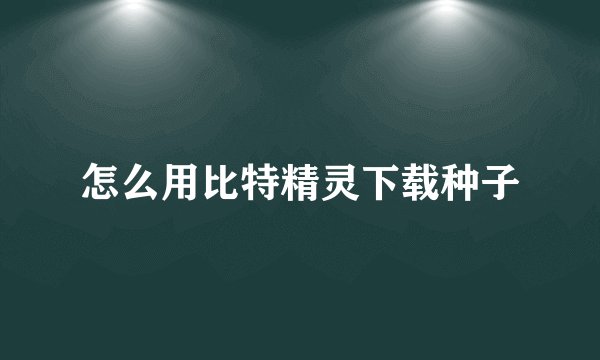 怎么用比特精灵下载种子