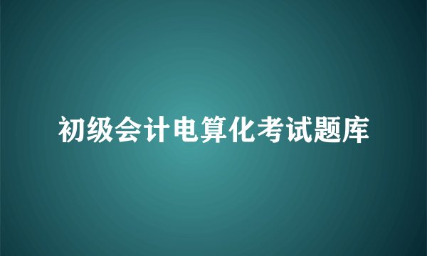 初级会计电算化考试题库