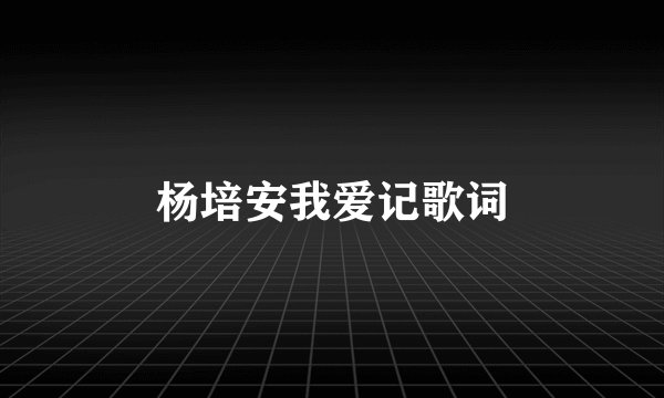 杨培安我爱记歌词