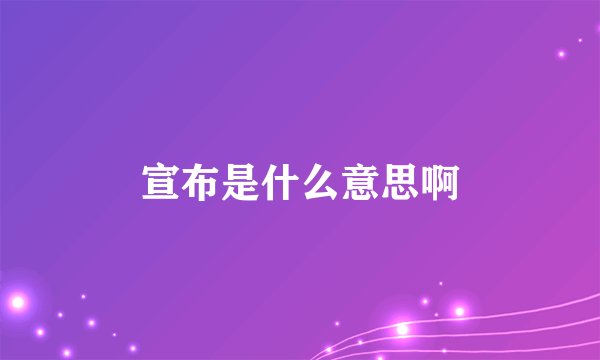 宣布是什么意思啊