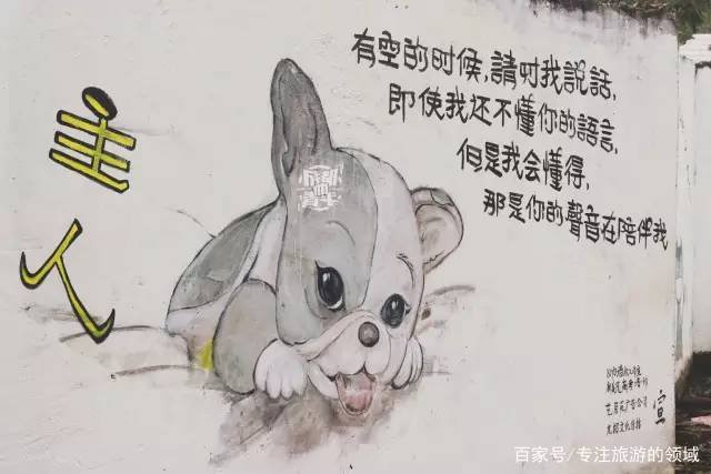 成都哪里可以领养小猫咪？