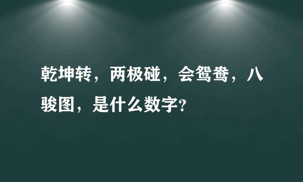 乾坤转，两极碰，会鸳鸯，八骏图，是什么数字？
