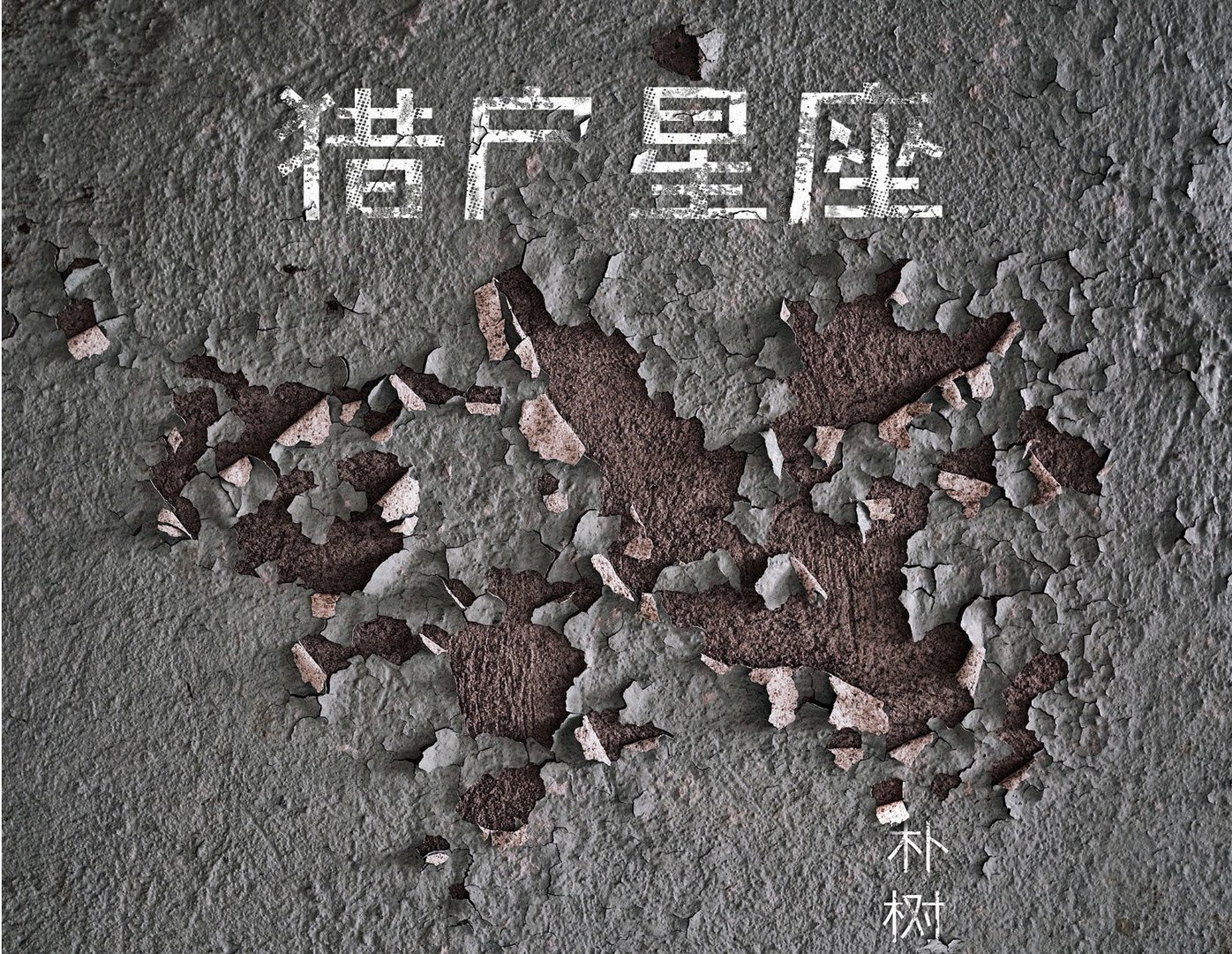 朴树猎户星座歌词？