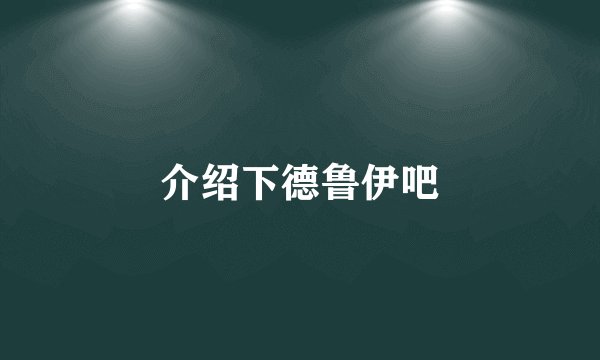 介绍下德鲁伊吧