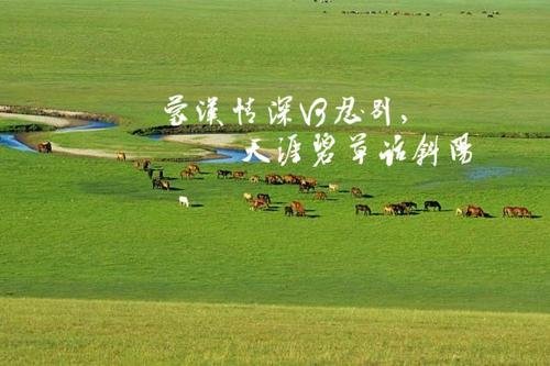 蒙汉情深何忍别天涯碧草话的意思是什么？
