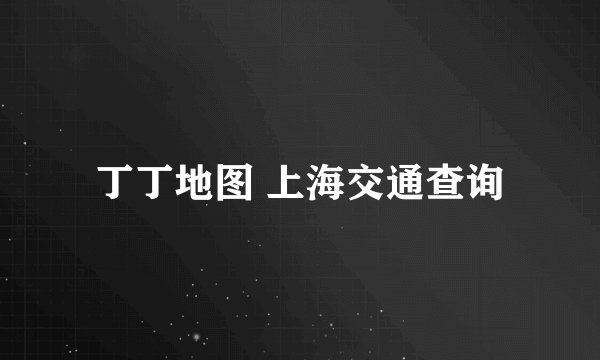丁丁地图 上海交通查询