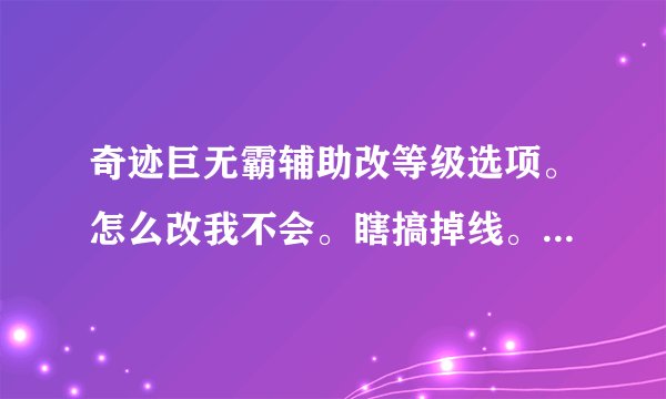 奇迹巨无霸辅助改等级选项。怎么改我不会。瞎搞掉线。我要的是改等级然后镶嵌宝石加攻击的效果